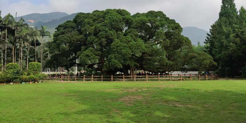 福州華光天銳全體員工于福州國家森林公園開展團(tuán)建活動(dòng)